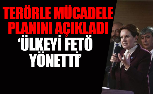 Akşener: Ülkemizin istikbalini Türk milleti kurtardı