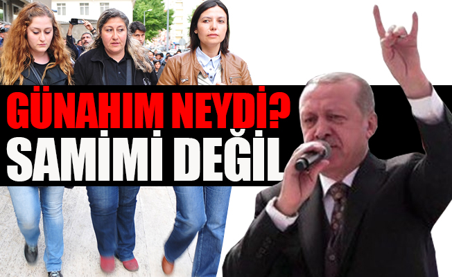 Erdoğan'a 'bozkurt' işareti yapıp gözaltına alınan Ülkücü isyan etti