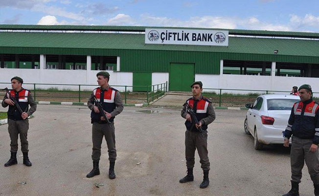 Çiftlik Bank'ın CEO'su kayıplara karıştı, yeni dolandırıcılar türedi
