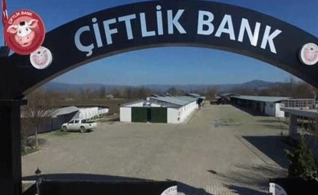 'Çiftlik Bank'ın neyine güvendiniz?' sorusuna şok yanıt