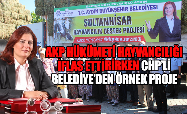 Türkiye’nin en ucuz eti Aydın’da