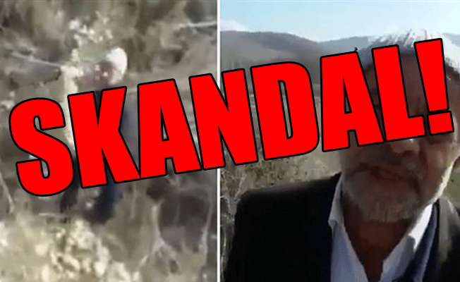 İmam köpeğe tecavüz ederken yakalandı