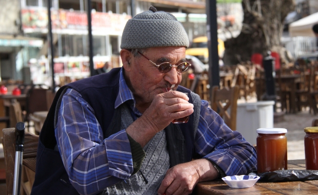 Buca’nın dev çınarlarına sıcak dokunuş