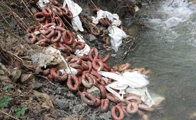 Dereden kilolarca çıkanlar şaşırttı...