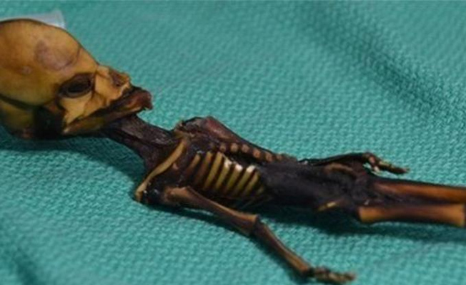 'Uzaylı' sanılan 15 cm'lik mumyanın ne olduğu ortaya çıktı