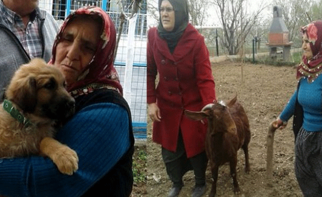 Köpek sevgisiyle sosyal medya fenomeni oldu