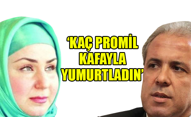 Yeni Akit yazarı: Helin Avşar'la kelepçecilik oynayacak derecede...