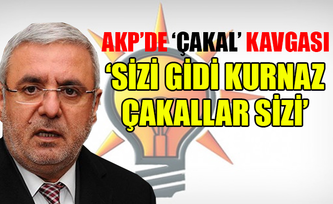 AKP'li Metiner: FETÖ’cü ağızlar çevremizde varlar