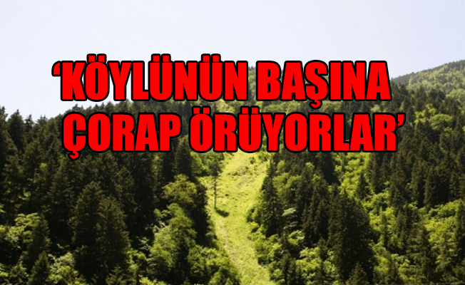 Ziraat Mühendisleri Odası: Torba tasarı ormanlarda nükleer atık depolamanın önünü açar!