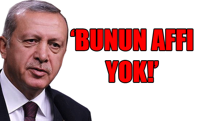 Erdoğan: Kısa sürede Tel Rıfat’ı da kontrol altına alacağız