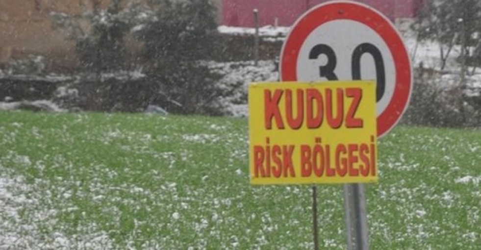 Bursa'da kuduz paniği; 2 köy karantinaya alındı
