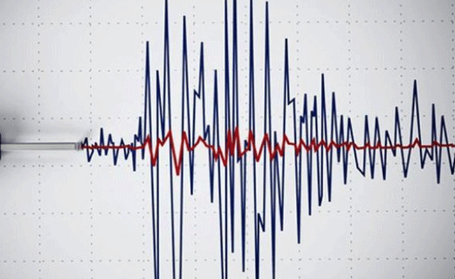 Papua Yeni Gine'de korkutan deprem