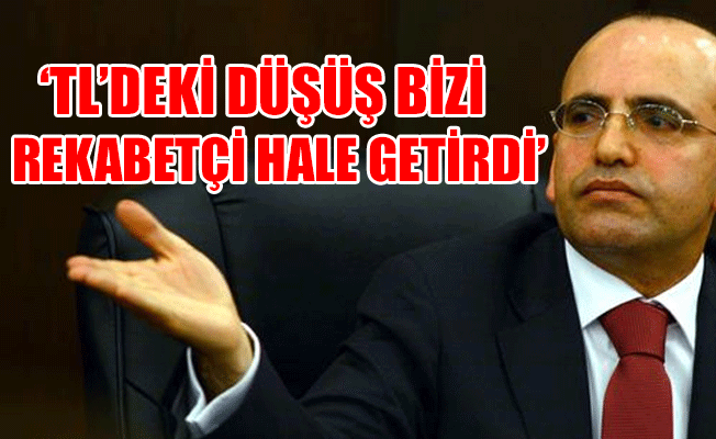 Başbakan Yardımcısı Şimşek'ten TL açıklaması