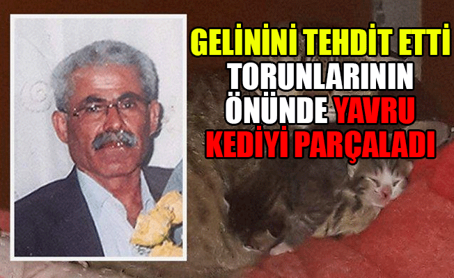 Yavru kediyi katleden vahşi insan serbest bırakıldı