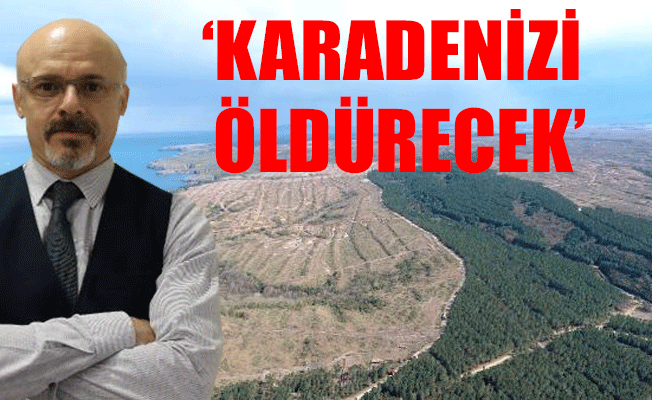 Sinop'ta nükleer santral için 1415 futbol sahası büyüklüğünde alan tahsis edildi