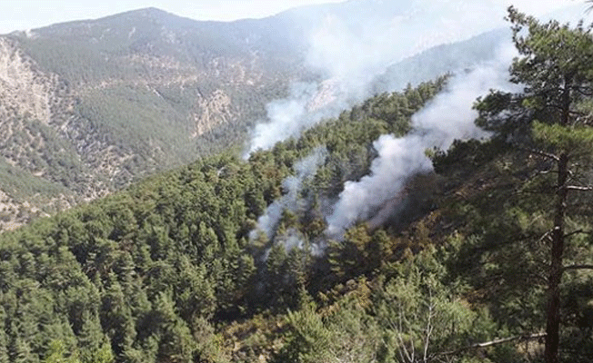 PKK'lı teröristlerden büyük zarar