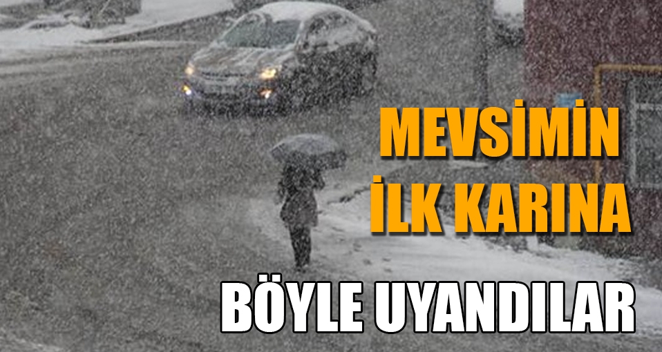 Anadolu'nun doğusu mevsimin ilk karına uyandı