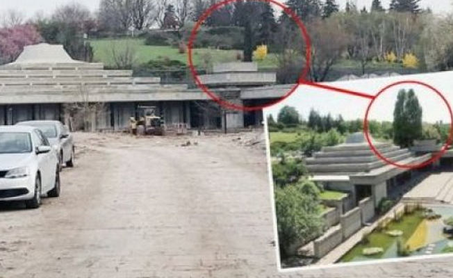 TBMM Cami’nin minaresi yerine dikilen kavaklar kesildi