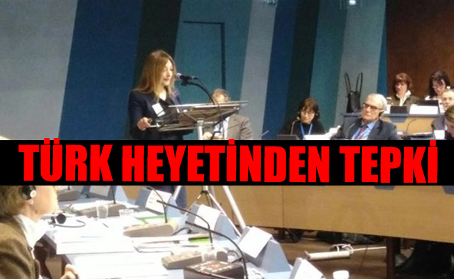 Avrupa Konseyi ile Türkiye arasında yeni kriz!