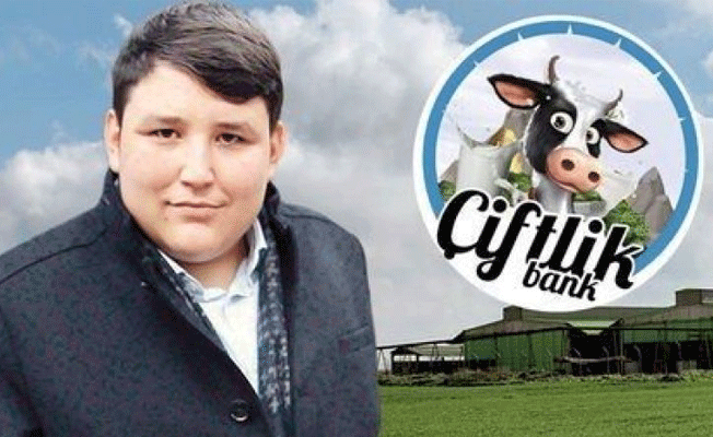Çiftlik Bank soruşturmasında son dakika gelişmesi! 3 şirkete kayyum atandı!