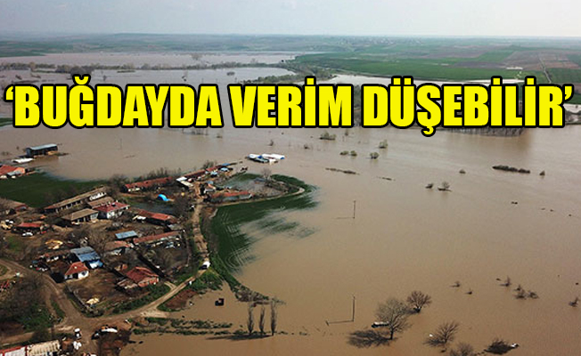 Edirne'de su taşkınları üreticileri vurdu