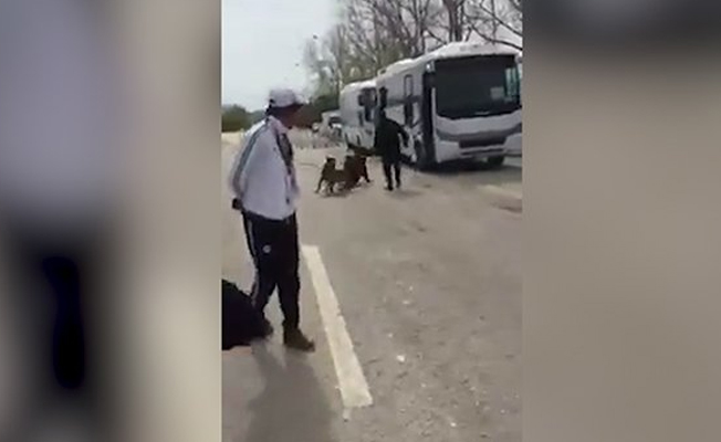 İddia: Polis, taraftara köpekle saldırdı