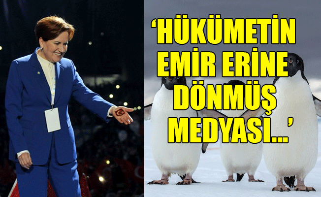 Akşener: Televizyonlar penguen mi yayınladı?