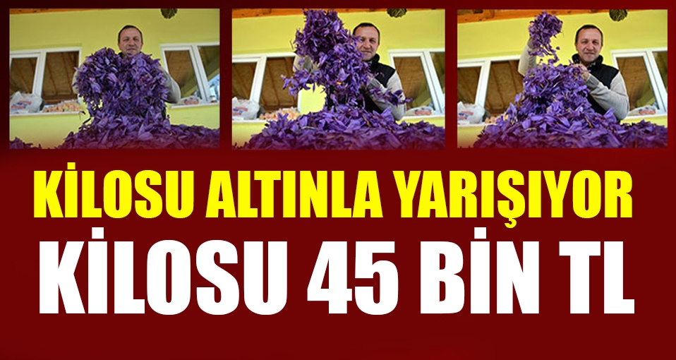 Safranın kilosu 45 bin lira!