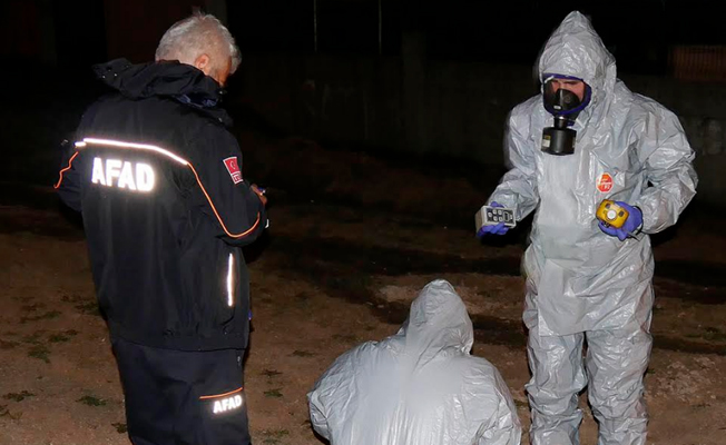 Büyükçekmece’ye dökülen kimyasal atık onlarca hayvana ölüm saçtı