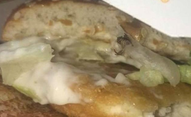 Türkiye’de de şubesi bulunan fast food zincirinden skandal: Ölü örümcek...