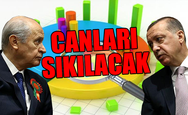 AKP-MHP ittifakının oy oranı...