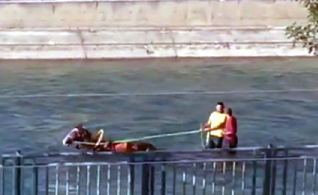 Adana Büyükşehir Belediyesi sosyal medyayı salladı!