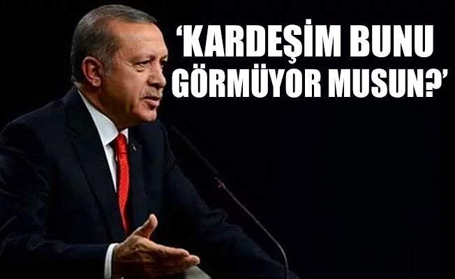 Erdoğan'dan sınıra giden sanatçılara dönük eleştirilere ilk yanıt