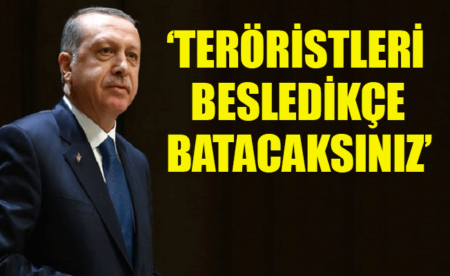 Erdoğan: Fransa, teröre destek veriyor