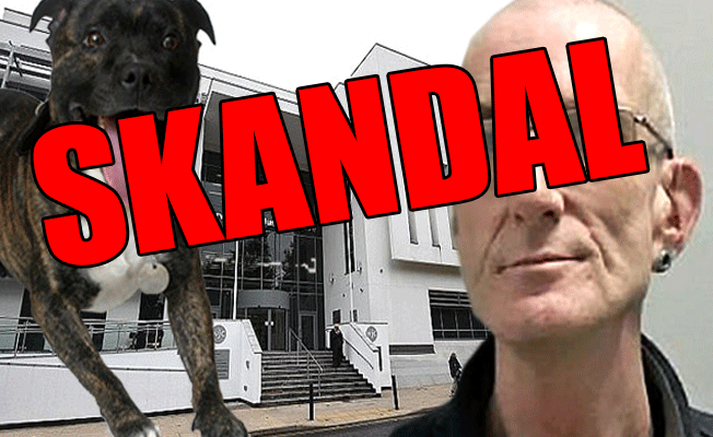 Köpeğe tecavüz edip videoya çekmiş!
