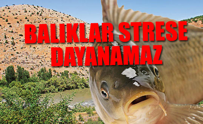 Mahkemenin HES'e iptal gerekçesi sevindirdi