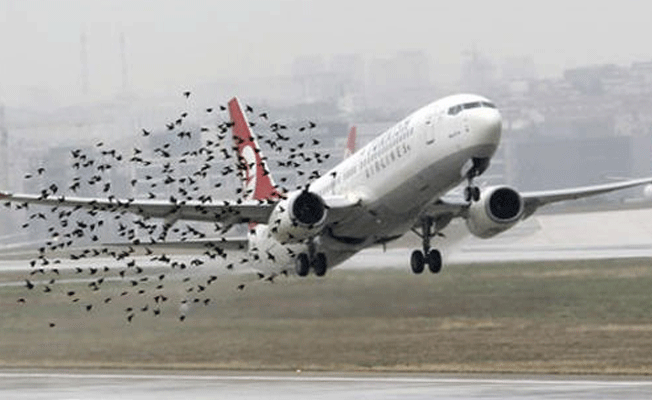Atatürk Havalimanı'nda korku dolu anlar: Pilotlar anons üstüne anons geçiyor