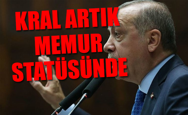 Hollanda Meclisi'nden 'Erdoğan Yasası'na onay