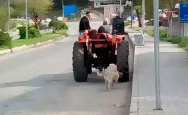 Çorum'da vicdanları sızlatan görüntü