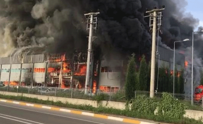 Sakarya’da mobilya fabrikası yangında küle döndü