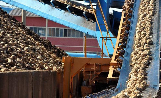 Erzurum Şeker Fabrikası'na teklif yok... Turhal'ın kazanını belli oldu