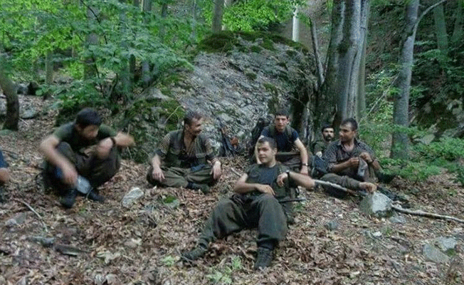Amanoslardaki PKK yapılanmasına büyük darbe!