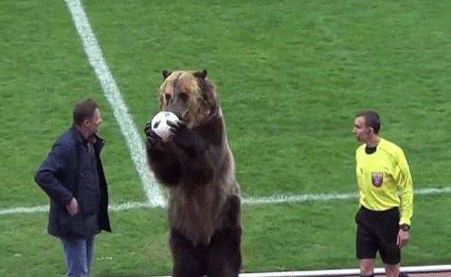 Rusya’da futbol maçını ayı başlattı!