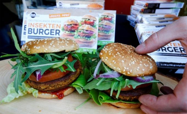 Türk girişimciden böcek burger!