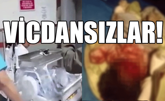 Yenidoğan bebeği sokağa bıraktı köpekler paramparça etti!