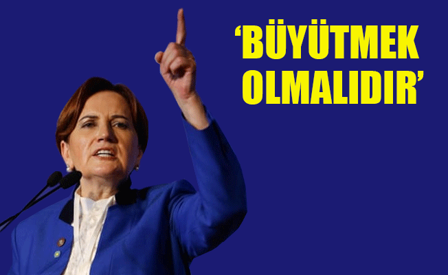 Akşener: Hükümetlerin görevi üniversiteleri bölmek değil...