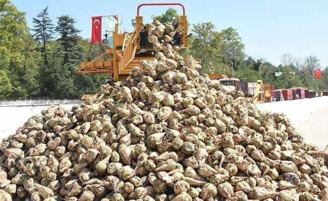 Art arda gidiyorlar: Üç şeker fabrikası daha ihaleye çıkıyor