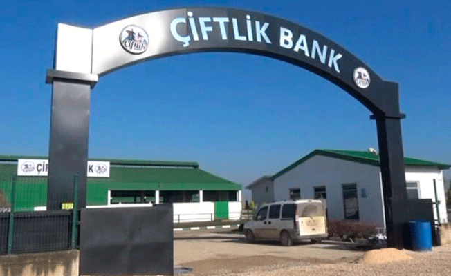 Çiftlik Bank’ın yazılımcısı hakkında flaş karar