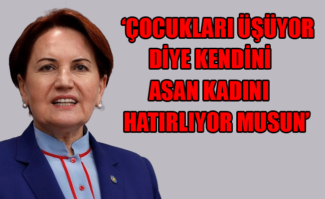 Akşener’den Erdoğan'a çok sert Tatlıses tepkisi
