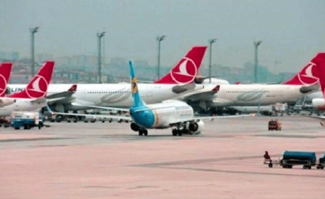 THY uçağı iniş sırasında kuşa çarptı